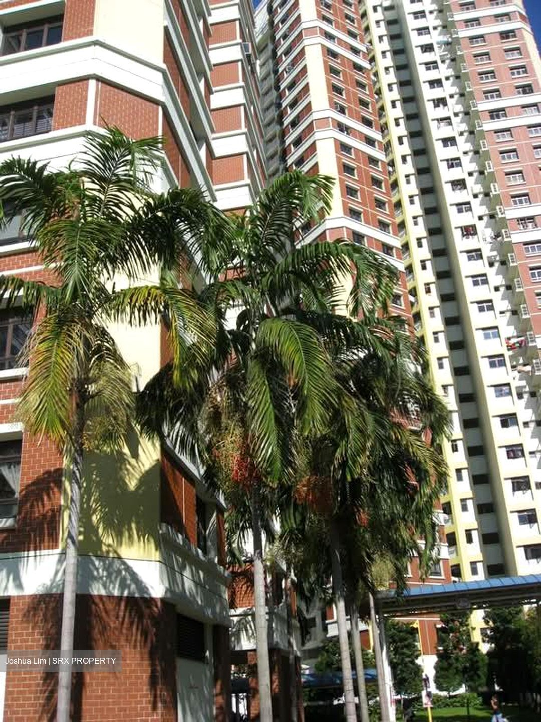 Blk 76A Redhill Road (Bukit Merah), HDB 4 Rooms #603086961